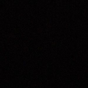 Meet your Posher, Randy